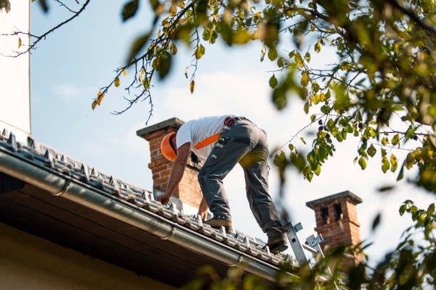Roof Gutter Cleaning in Succasunna, NJ